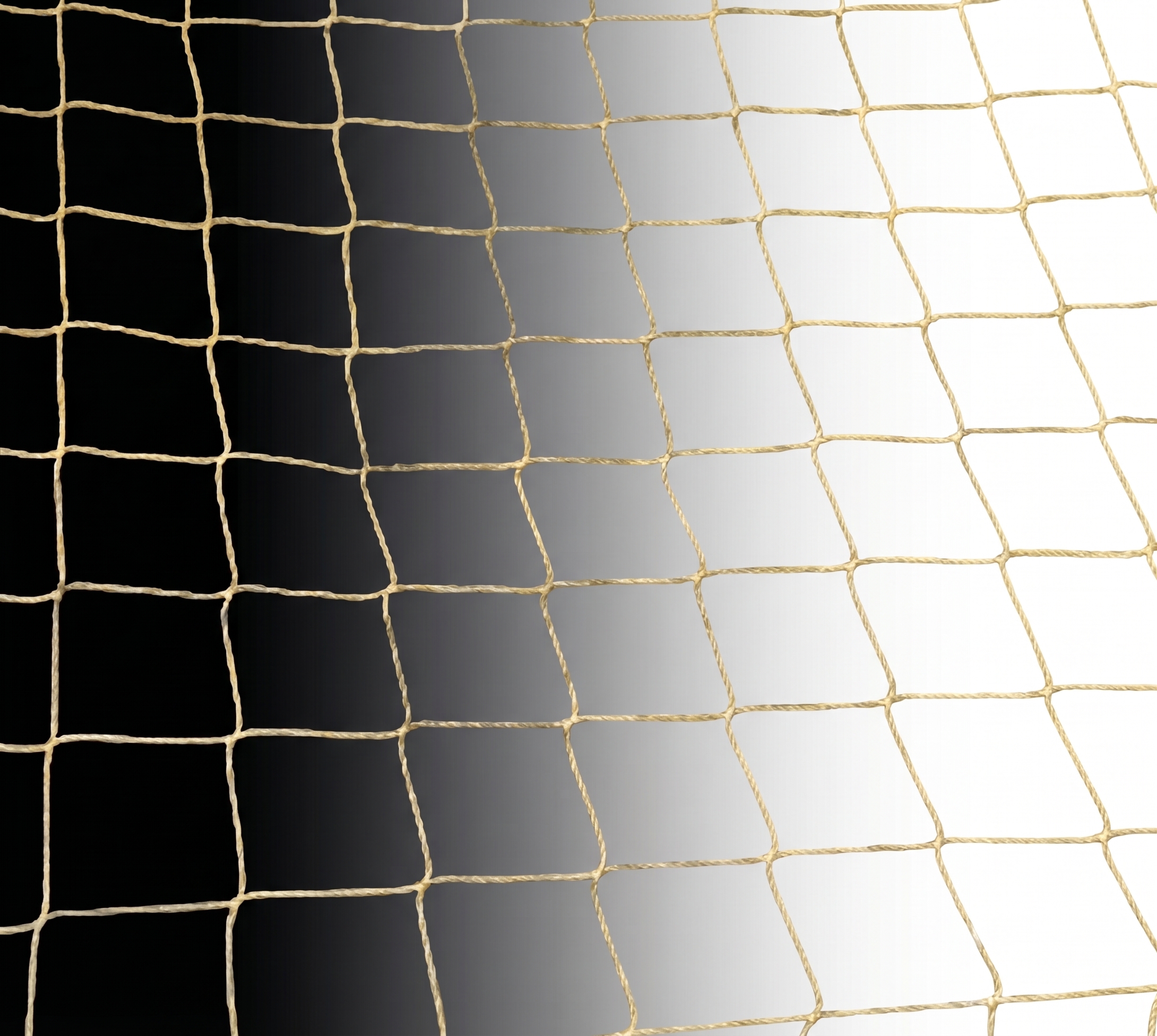 Para Aramid Güvenlik Ağı